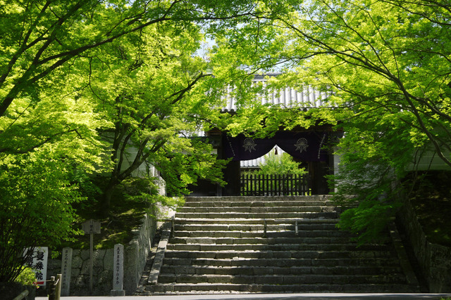 manshuin12-thumb-640x427-305